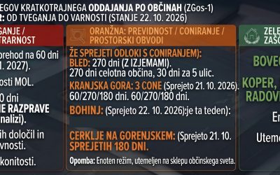 Analiza lokalnih pristopov: Od razuma do pravno vprašljivih obvodov